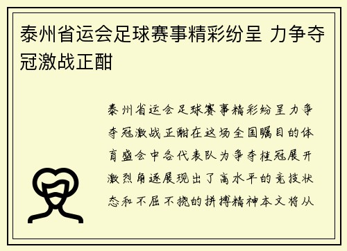 泰州省运会足球赛事精彩纷呈 力争夺冠激战正酣